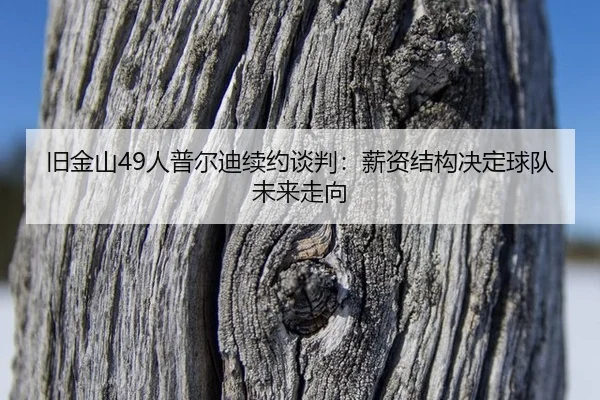 jiu-jin-shan-ren-pu-er-di-xu-yue-tan-pan-xin-zi-jie-gou-jue-ding-qiu-dui-wei-lai-zou-xiang-3-257.jpg